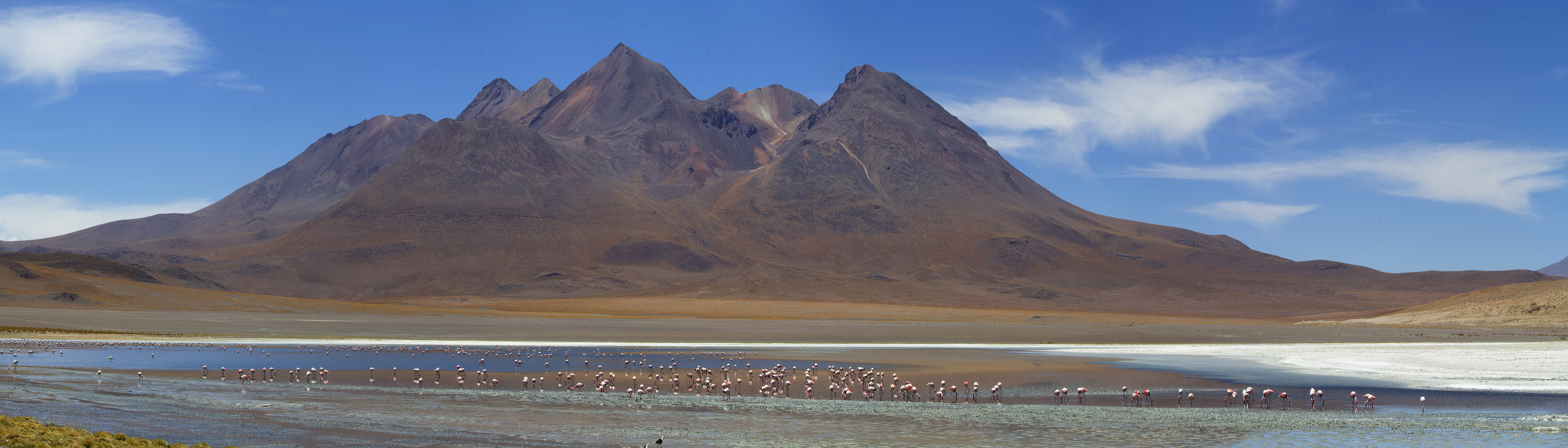 Laguna  Pastos Grande im bolivianischen Altiplano.